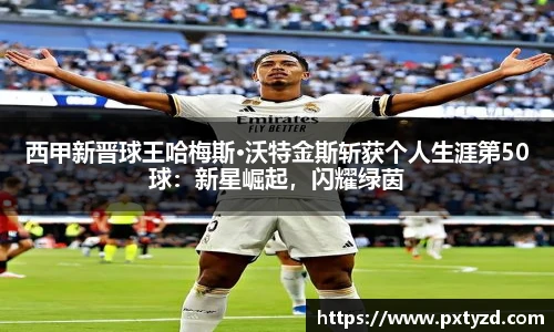 欧博abg官方网站
